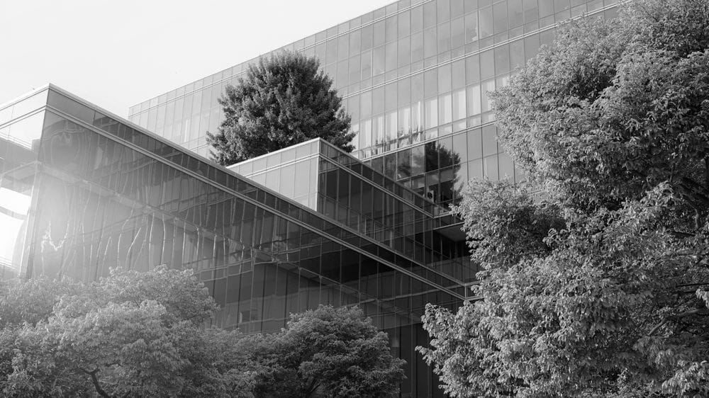 ESG Matters: Going Public – Building Your Board for Success&nbsp;