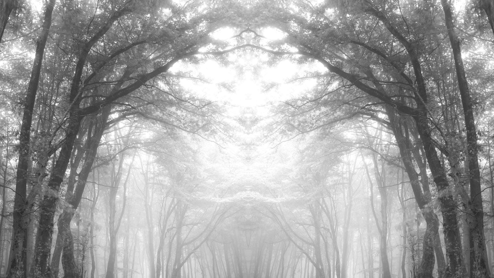 HOW TO BUILD A GREAT ESG MISSION STATEMENT